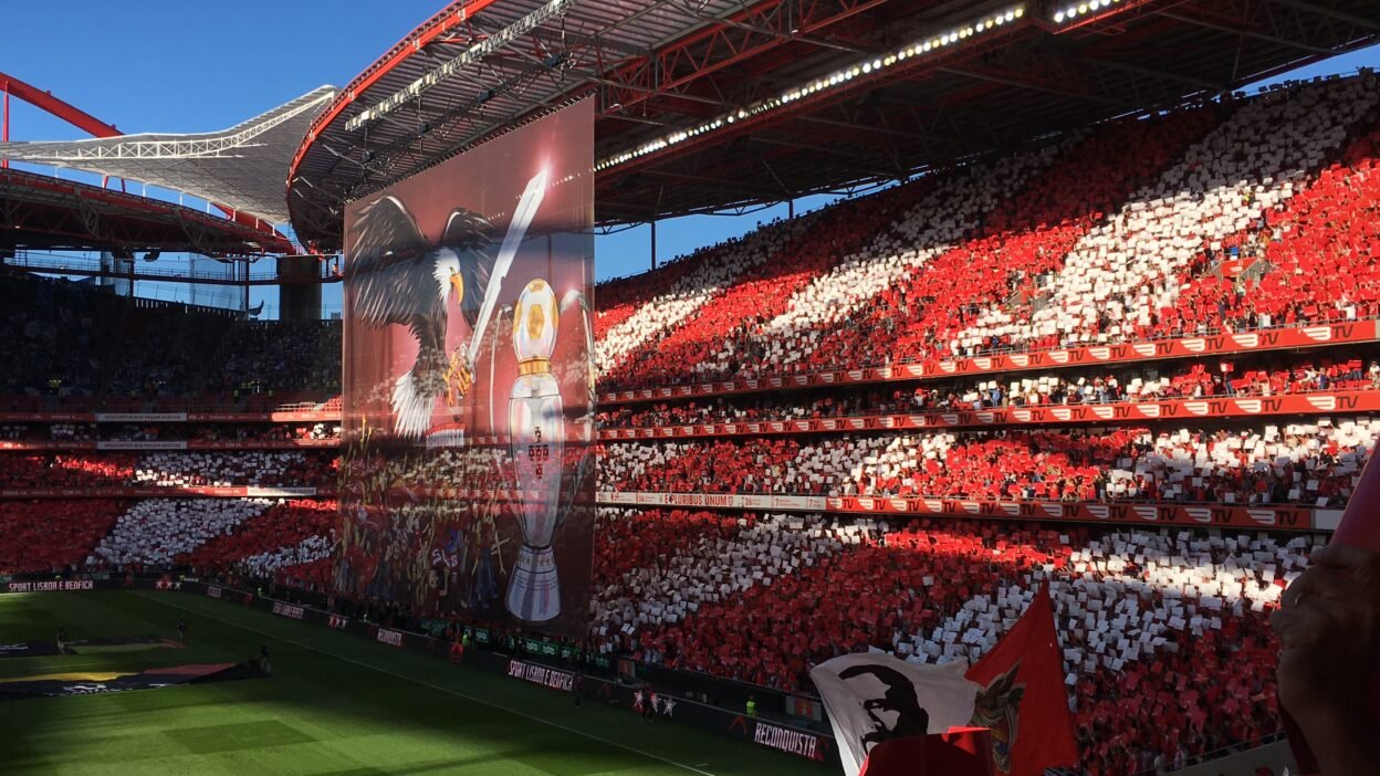 Estádio da Luz - SL Benfica